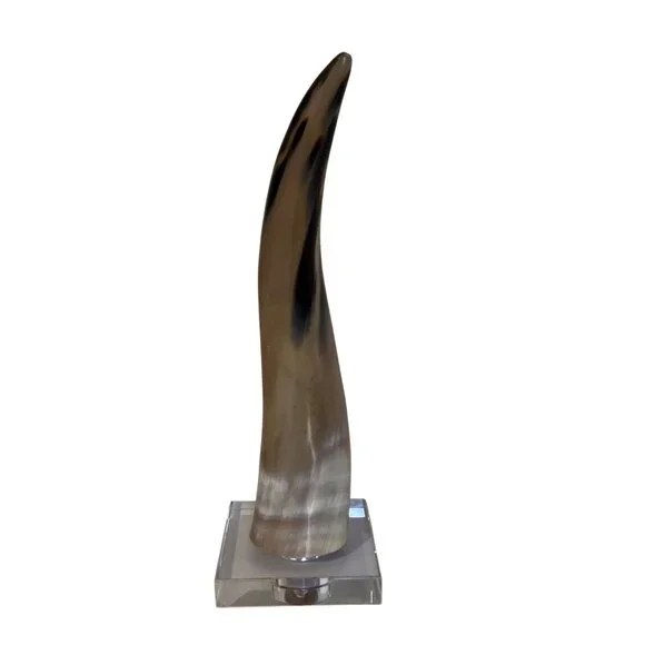 Natural Bull Cow Steer Horn Rustic Western Décor 16 Polished On Glass Base